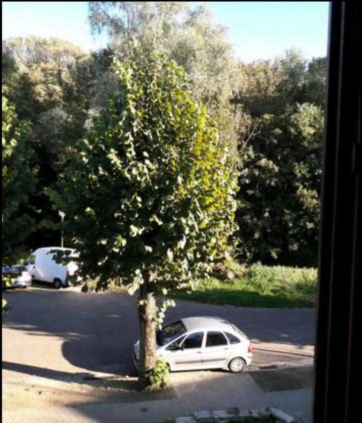 Chez Mimi - Chambre Vue Parc Brussel Buitenkant foto